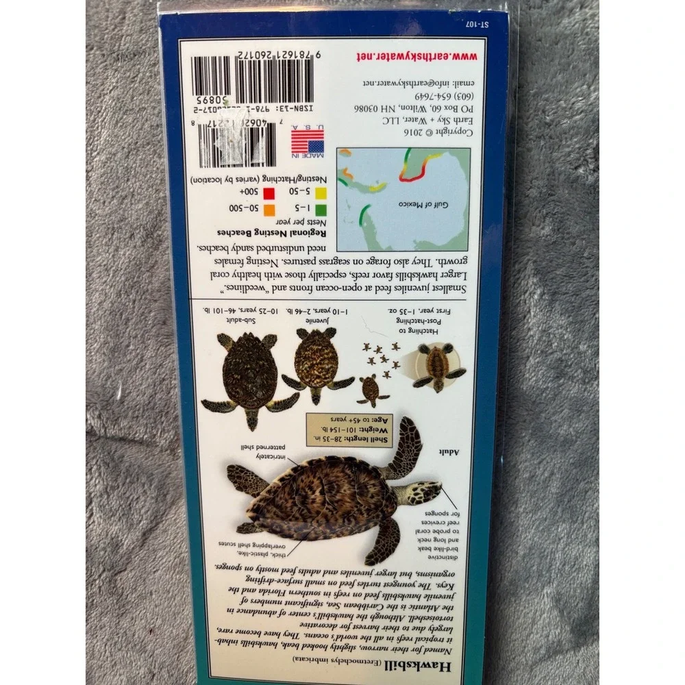Sea Turtles of the Atlantic & Gulf of Mexico Waterproof‎ Guide Marine Life